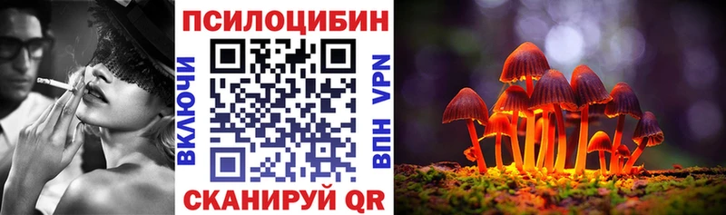 Галлюциногенные грибы мухоморы  Купить закладки  Петровск-Забайкальский 